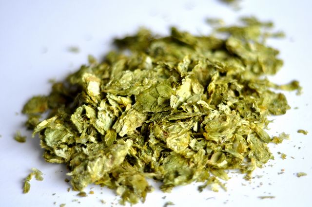 Northern Brewer, Germany, Whole Leaf